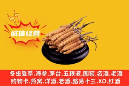邯郸涉县回收冬虫夏草